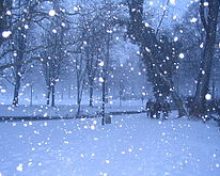 Hiver : Découvrez les sites info route
