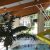 Stade Nautique Intercommunal du Warndt : Olympiades pendant les Vacances Scolaires...