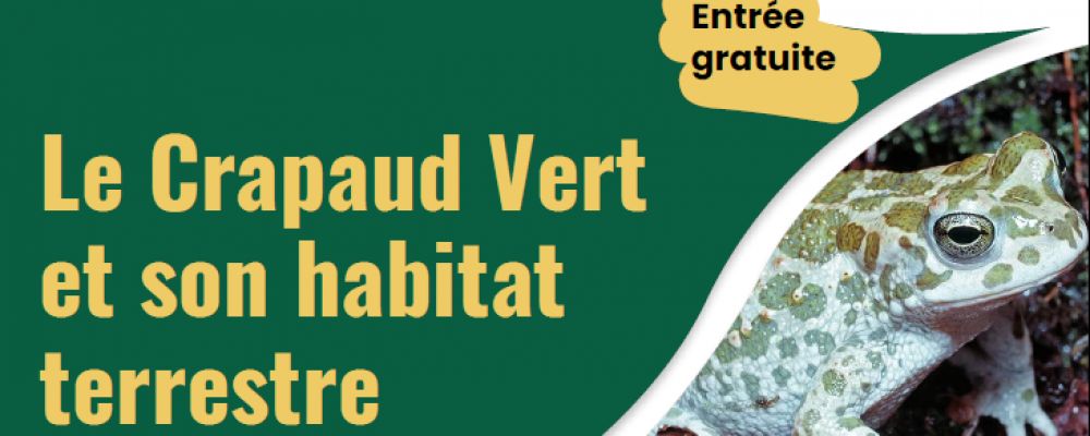 Environnement : Conférence sur le crapaud vert et son habitat terrestre