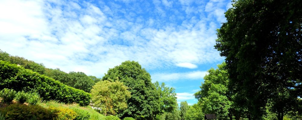 🌲 CANICULE : L&rsquo;ANCIEN RANCH DE GUERTING, VOTRE RÉFUGE FRAÎCHEUR ! 🌿☀️