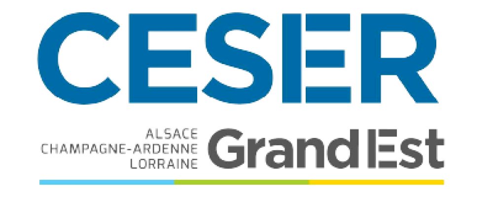 Région Grand Est : Découvrez le CESER Grand Est