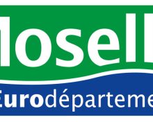 Travaux :  Réfection couche de roulement giratoire RD633 (ex RN33)