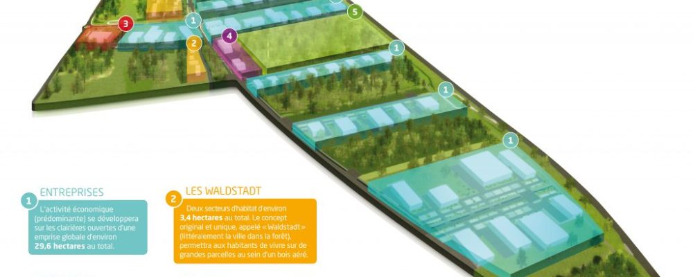 Warndt ParK : Les travaux de la Waldstadt 2 sont lancés