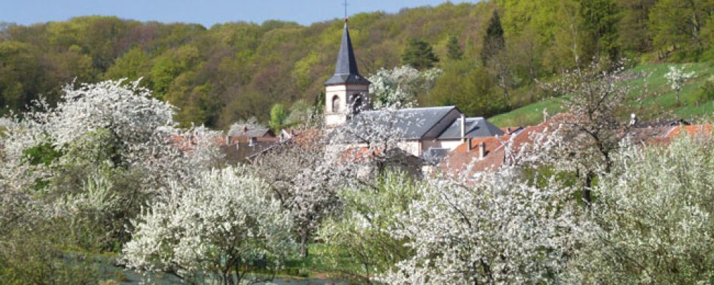 Evènement : Fête de la bière à Guerting