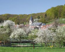 Patrimoine : Mobilisation autour du patrimoine minier à Guerting