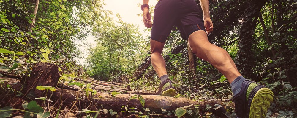 Varsberg : Trail et marche de la Madone