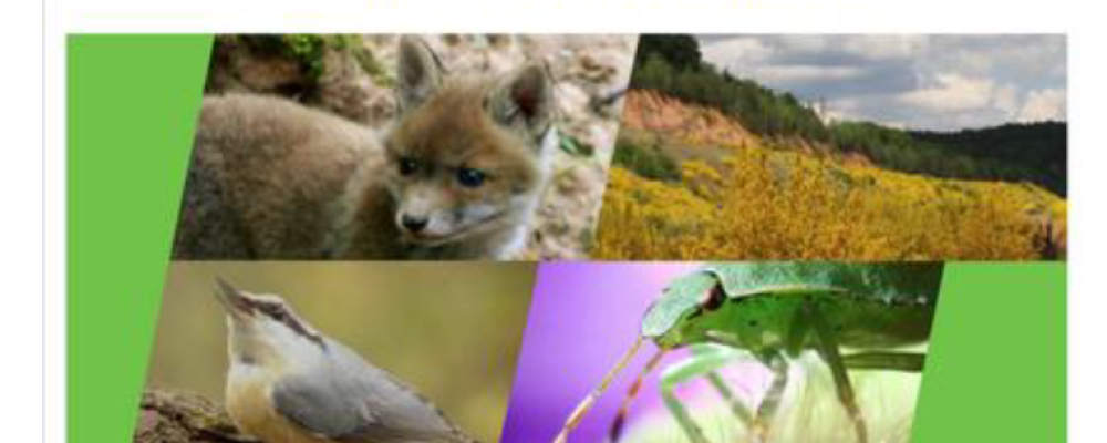 Environnement : Conférence sur la biodiversité à Guerting