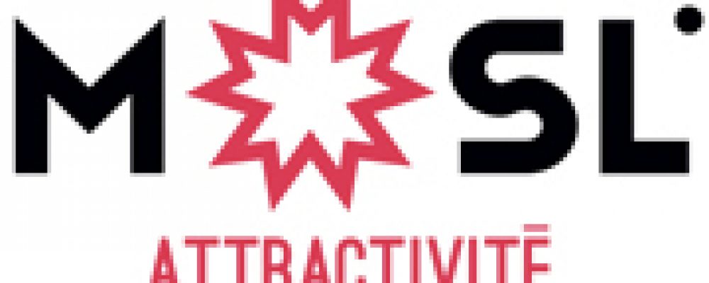 Emploi : Déposer une offre de stage 3ème