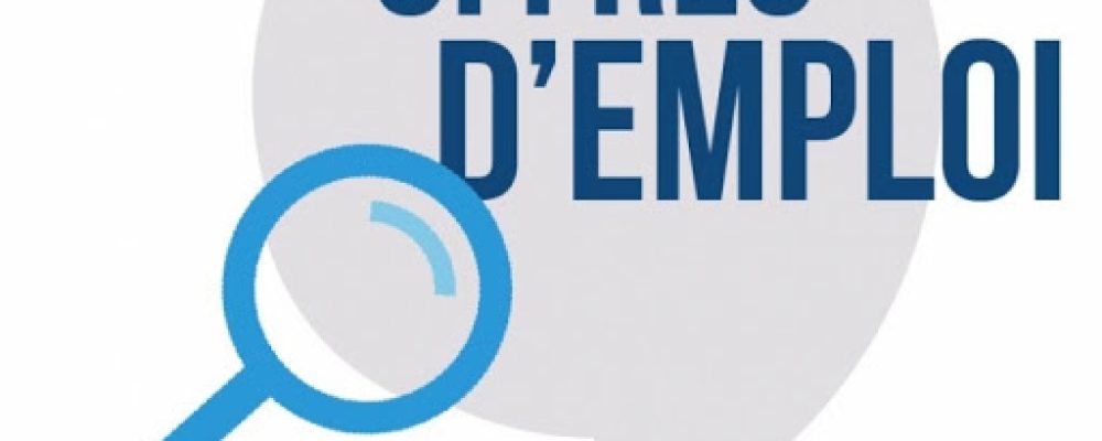 Emploi –  Mairie de Sarrebruck : chargé de Missions Relations internationales / Europe