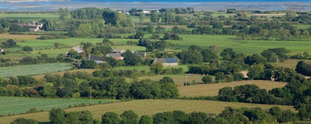 France Relance : Appel à projet Investissement de la Mesure « Plantons des haies »